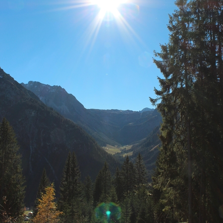 Herbst 2015 (5)